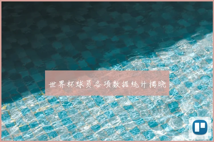 世界杯球员各项数据统计揭晓
