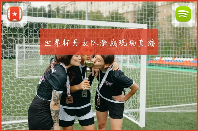 世界杯丹麦队激战现场直播
