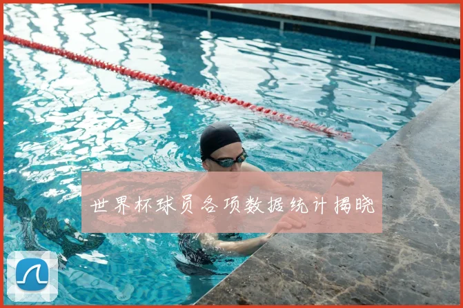 世界杯球员各项数据统计揭晓